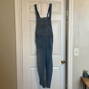 Free People Denim Overalls